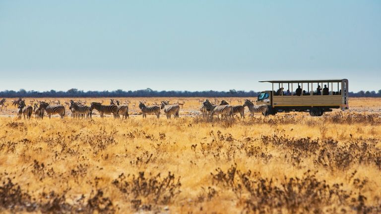 Namibie parc national d'Etosha Game Drive